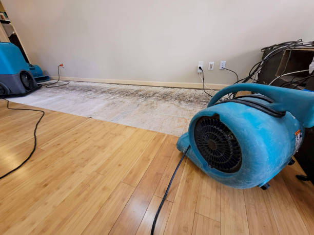 Professional Burst Pipe Water Damage technician working in Marysville, WA